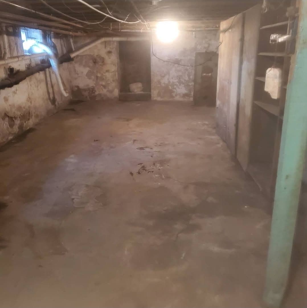 Expert Basement Cleanout Service Delivers Excellence image