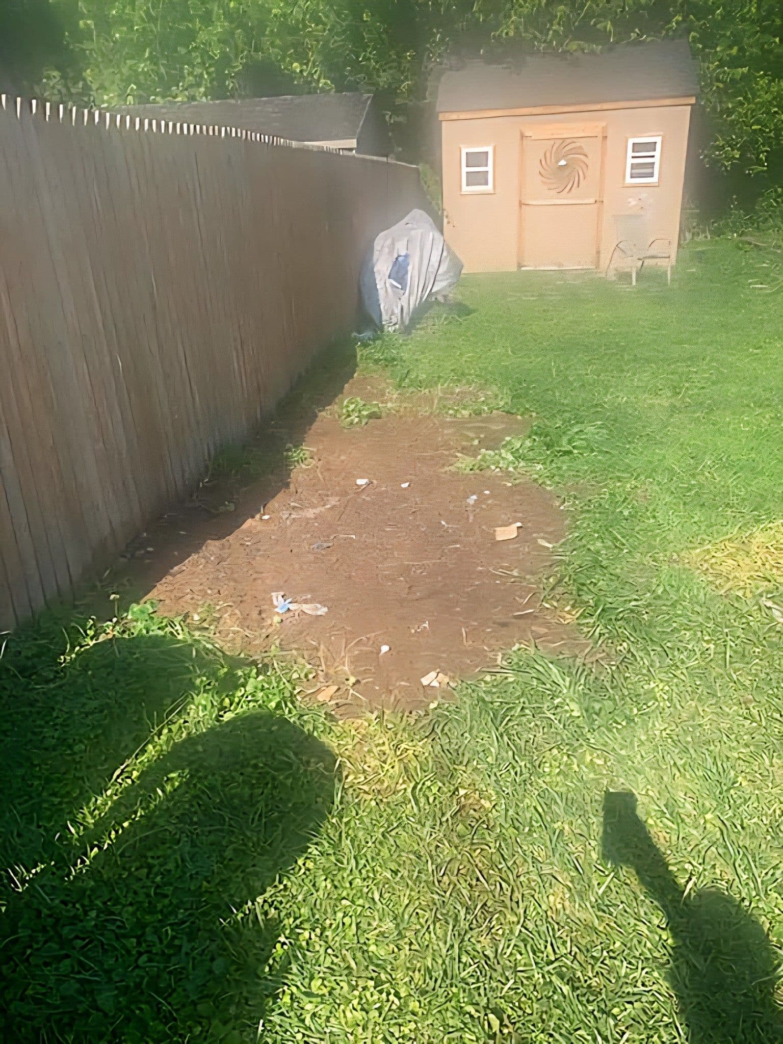 Summer Junk Removal Sale for a Clutter-Free Yard