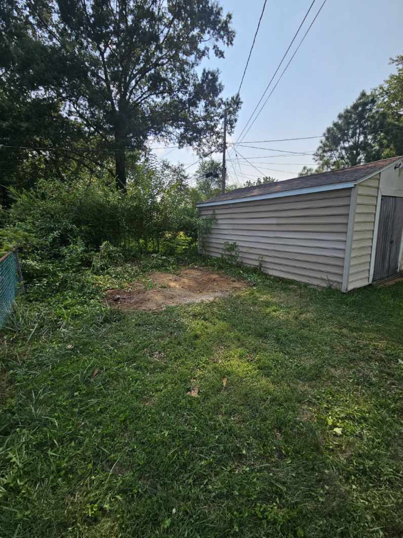 Effortless Shed Removal: Space Revived image
