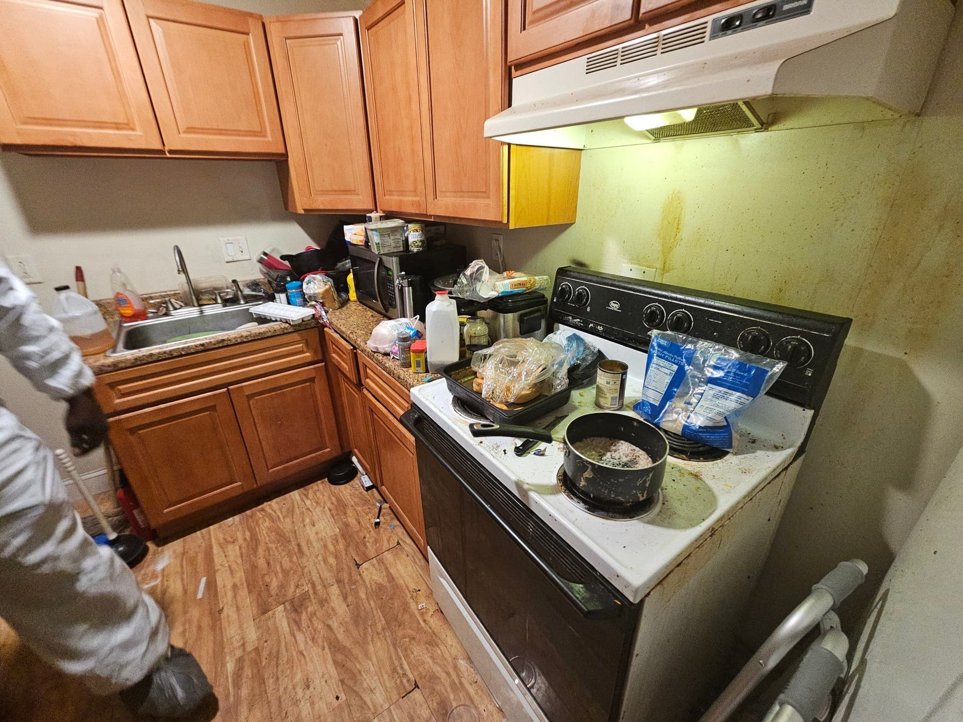 Gallery photos for Amazing Kitchen Cleanup Success: Image #1