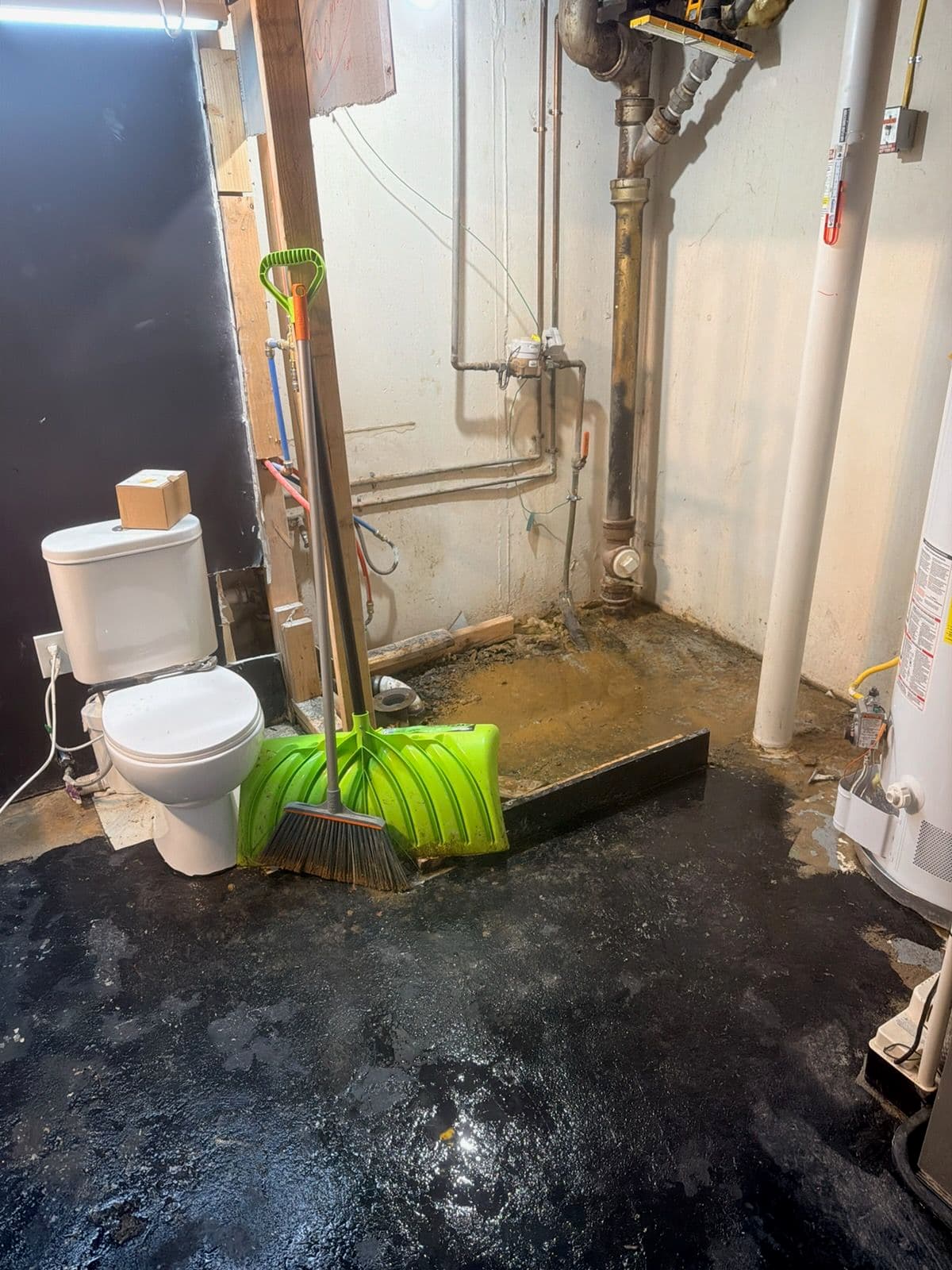 Gallery photos for Basement Clean-Up After Water Leak: Image #1